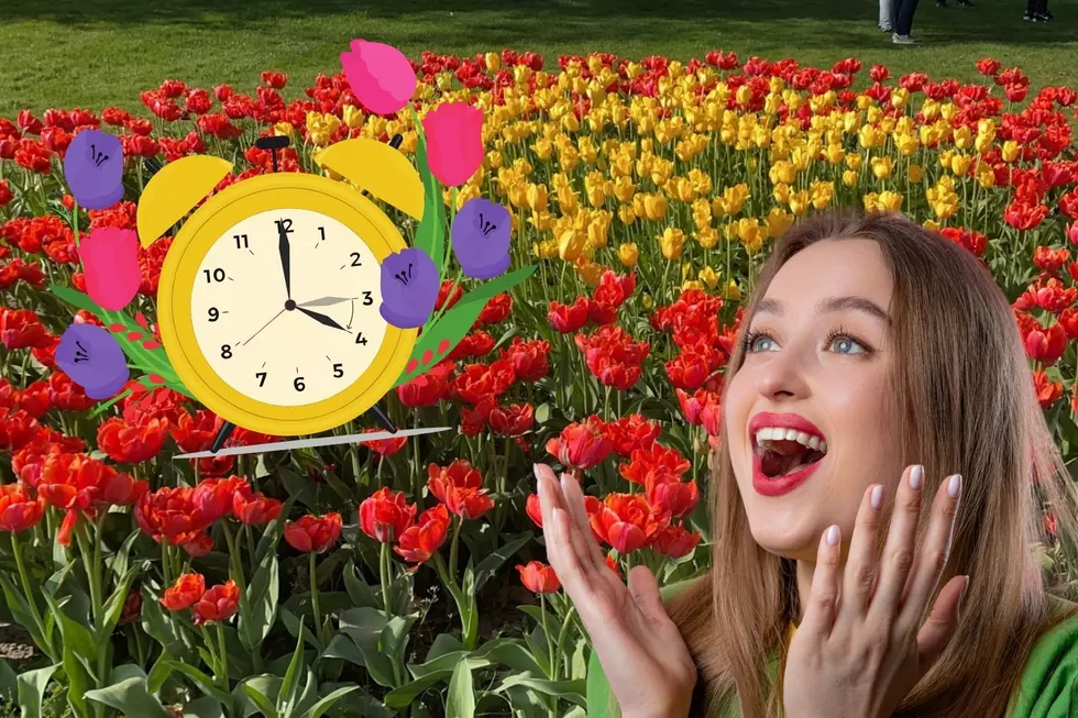 Visiting Tulip Time Festival in Holland, MI? Officials Warn Peak Bloom Is Here