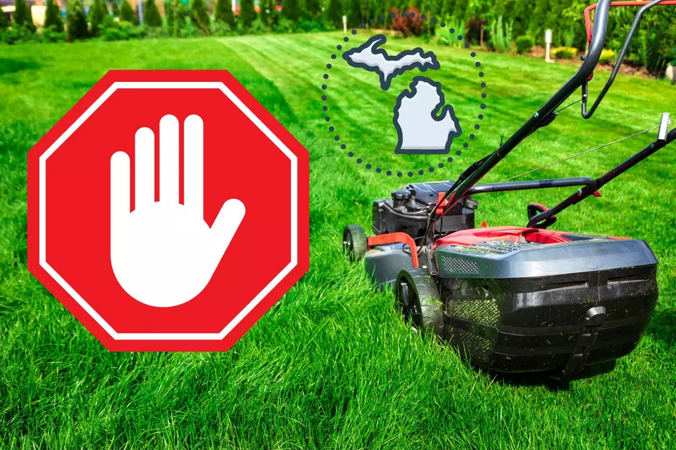 It’s Illegal To Mow Your Lawn In Michigan Outside Of These Hours