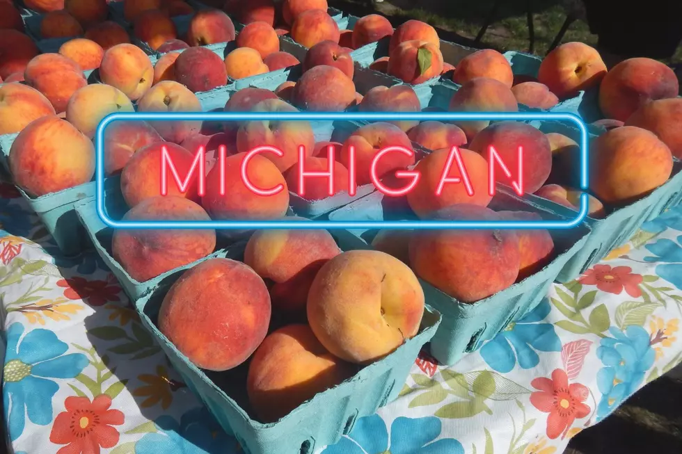 Michigan, Indiana Farmers Face Devastating Loss Of Peach Crop