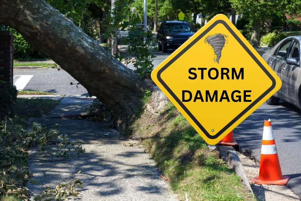 City of Portage to Aid With Debris and Brush Pickup After Tornado