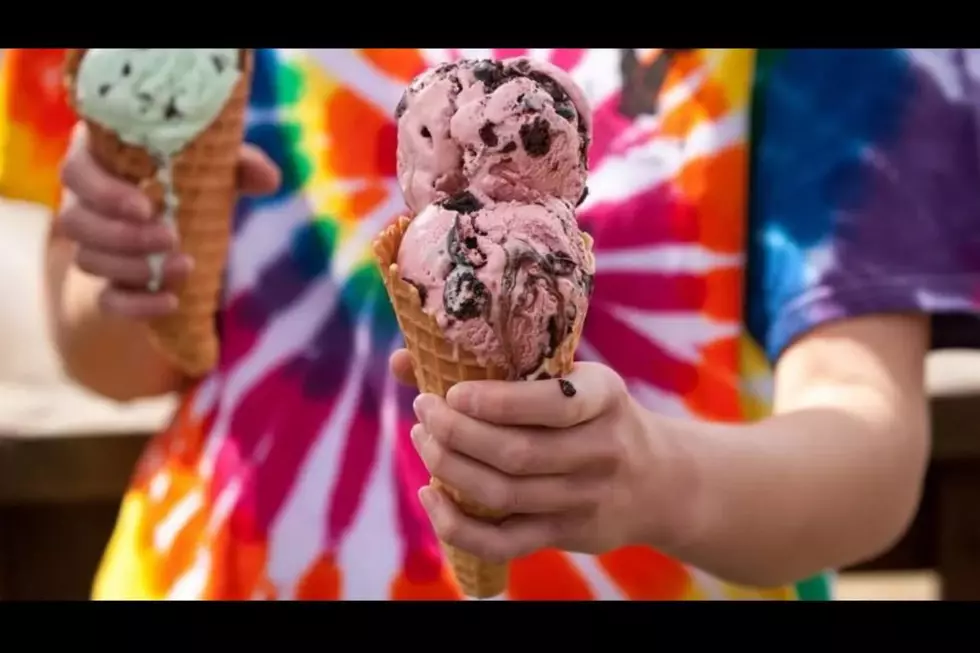 Michigan Spot Named One Of America's Best Ice Cream Shops