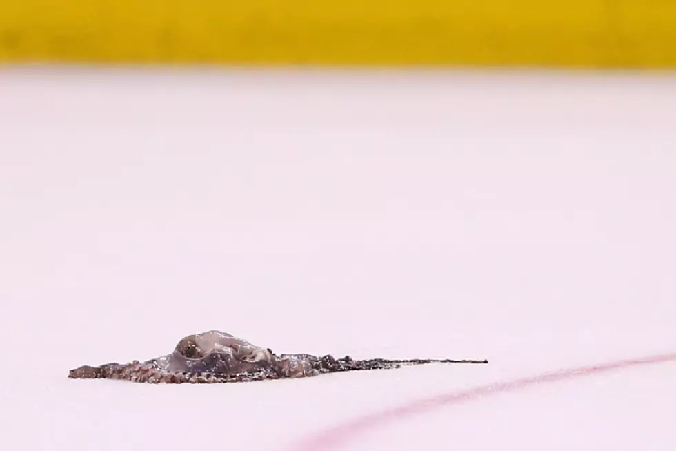 Octopus Throwing Red Wings Fans in Boston Don&#8217;t Understand the Tradition [VIDEOS]