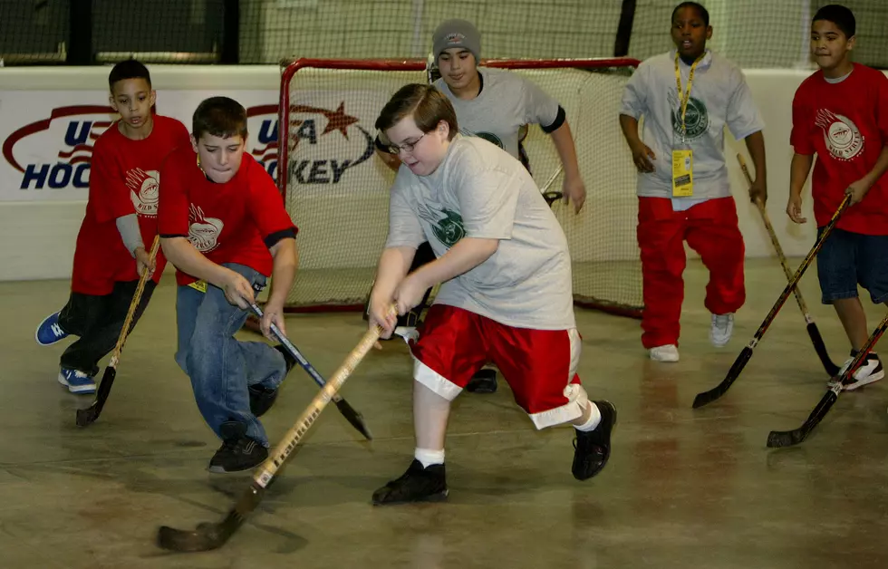 Red Wings 3rd Annual Street Hockey Summer Tour To Stop In Battle Creek