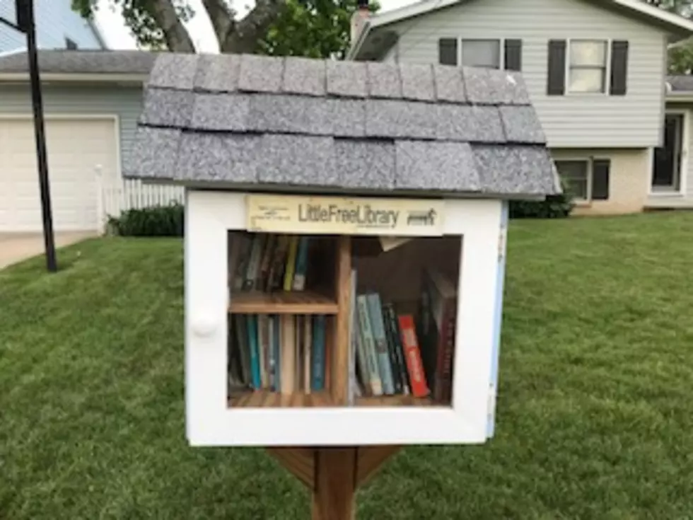 The Little Library That Could Is In A Portage Neighborhood