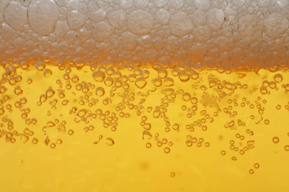 Government Shutdown Affecting Kalamazoo's Craft Beer Industry