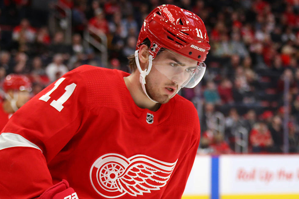 Watch Red Wings Top Prospect Score His First NHL Goal