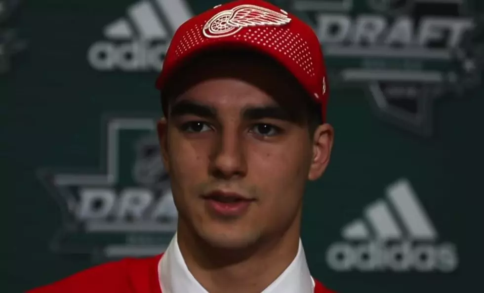 Detroit Red Wings 2nd First Round Pick From 2018 Turns Pro