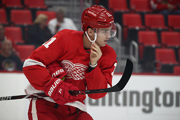 Little Caesars Arena To Host Red Wings Development Camp