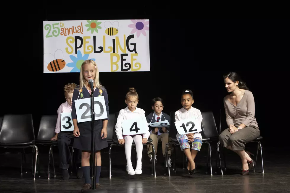 19th Annual Great Grown-Up Spelling Bee