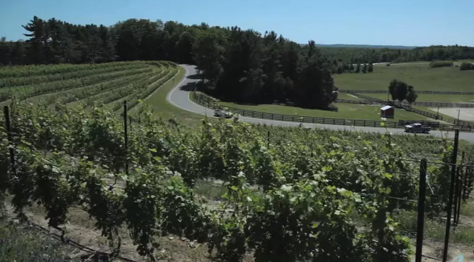 These 20 Michigan Wineries Are Bringing Their Finest to Wine Not?