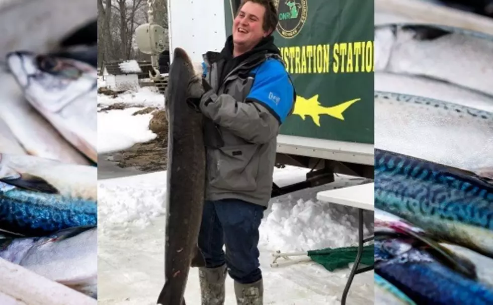 Michigan's Shortest Fishing Season Lasts Less Than 6 Hours