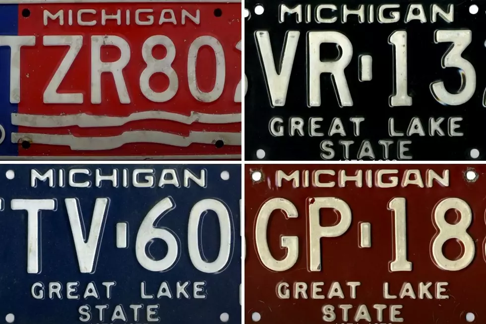 Michigan License Plates 1971-Present [Photos + Video]