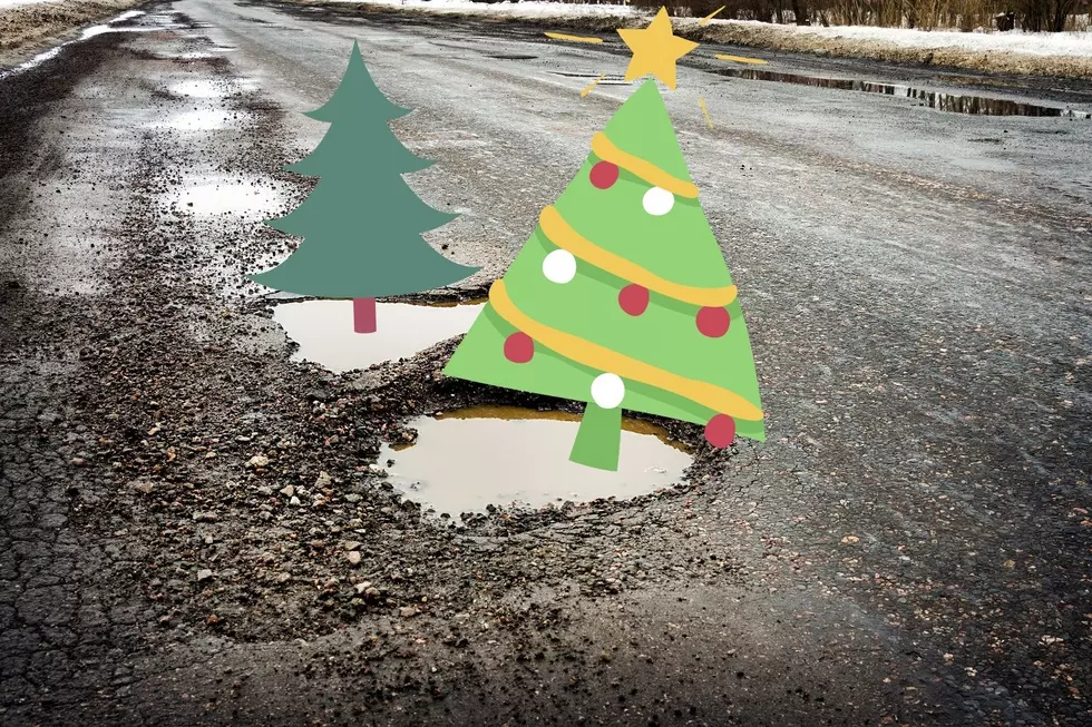 Man Plants Christmas Trees in Potholes. Michigan Needs This