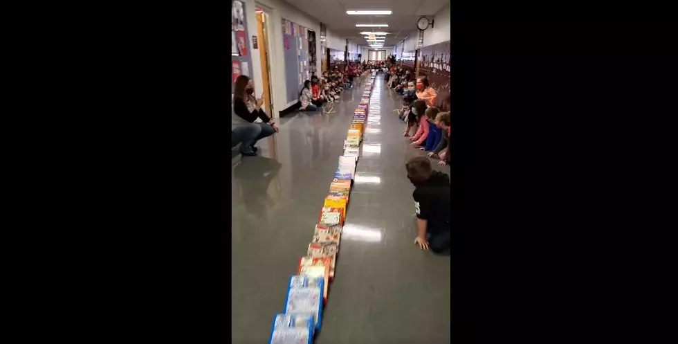 Watervliet, Michigan Elementary Did Cereal Box Dominos Down the Entire Length of the School Building