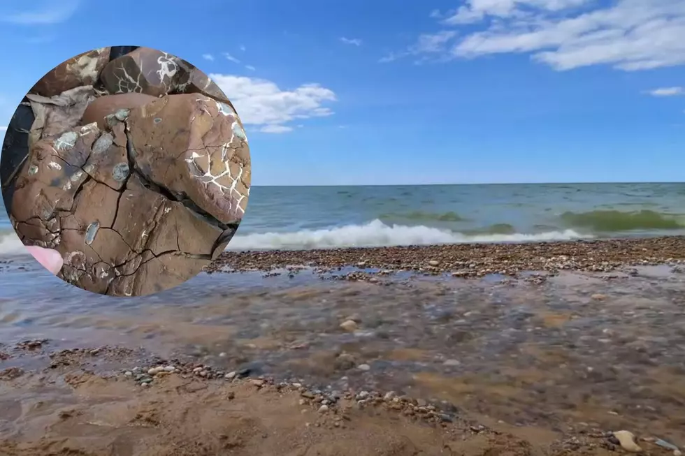 This Secret Beach in Fennville Hides a Treasure Trove of Lightning Stones