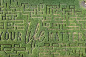 Another Amazing Corn Maze Message From Gull Meadow Farms Revealed