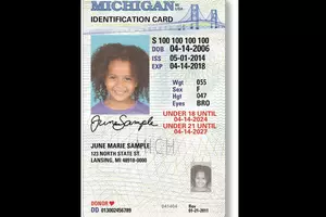Six Years Later, Michiganders Debate State ID Cards For Kids