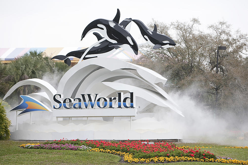 No Fun! SeaWorld Attempts Takeover of Cedar Point, MI Adventure