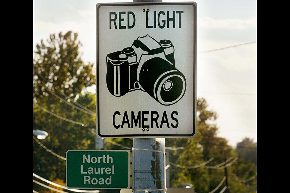 Michigan Senate Votes to Ban Red Light Cameras? Is That A Good Thing?