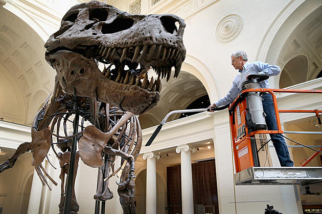 Think Your Kid Will Be Impressed With Chicago&#8217;s T-Rex, Sue?
