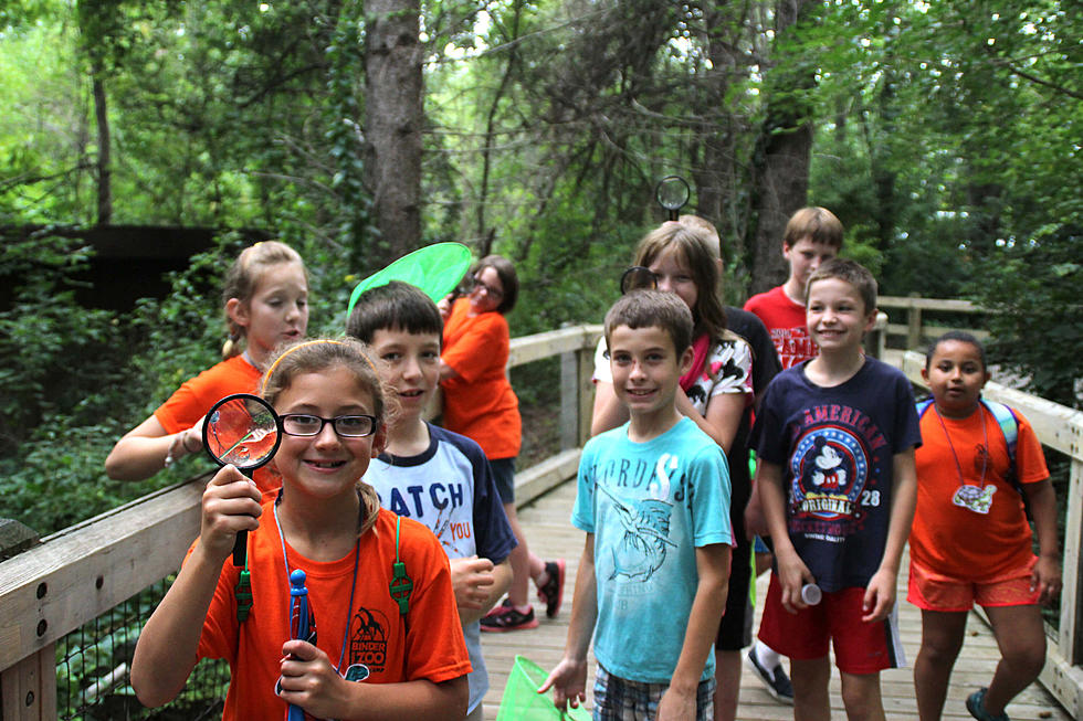 Battle Creek's Binder Park Zoo Offers Day and Overnight Camps
