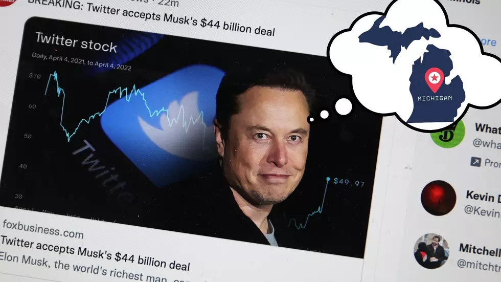 What Could Elon Musk Buy (and improve) In Michigan?