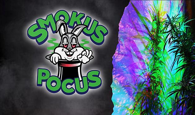Adult Cannabis Themed Magic Show Smokus Pocus Coming To Kalamazoo