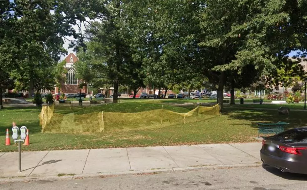 Kalamazoo’s Bronson Park’s Native Mound Could Be Landscaped