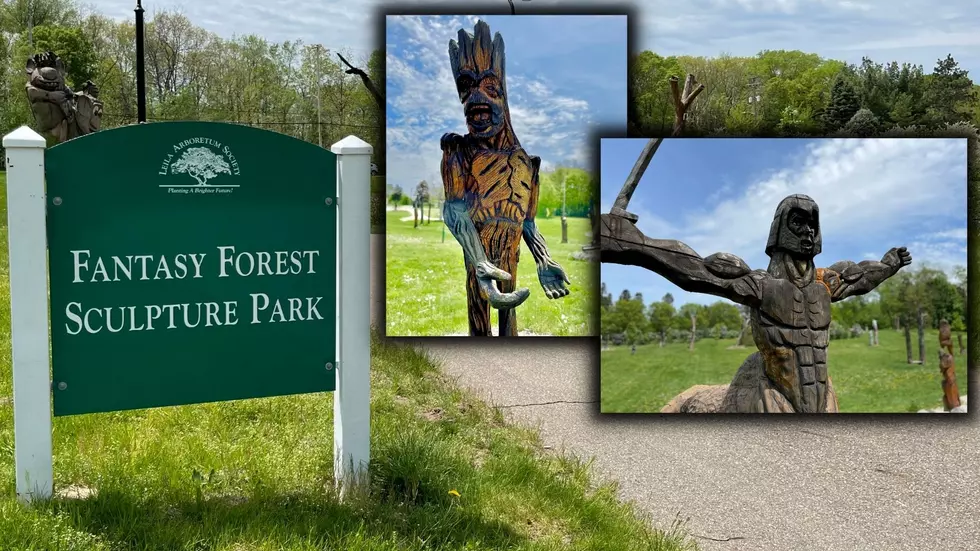 Fantasy Forest in Battle Creek Made From Trees Destroyed by Invasive Beetle
