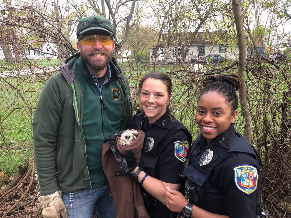 Kalamazoo Public Safety Officers Save Rare Young Short-Eared Owl
