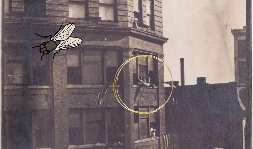 1916 Postcard Shows Human Fly Scaling Kalamazoo’s Edwards and Chamberlin Hardware Store In