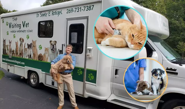 Did You Know There&#8217;s A Travelling Veterinarian In Kalamazoo?
