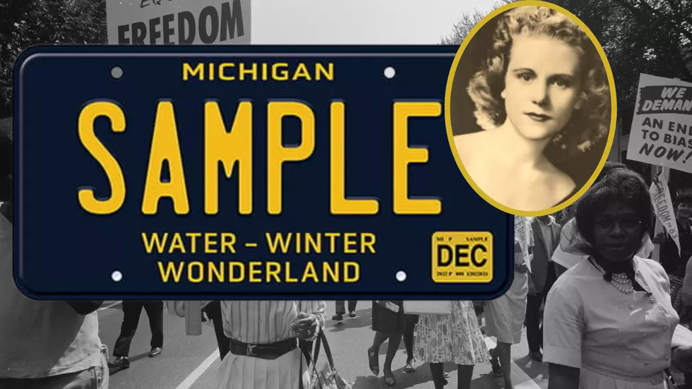 Michigan’s ‘Water Winter Wonderland’ Tags Are Subtle Tribute To Civil Rights Hero