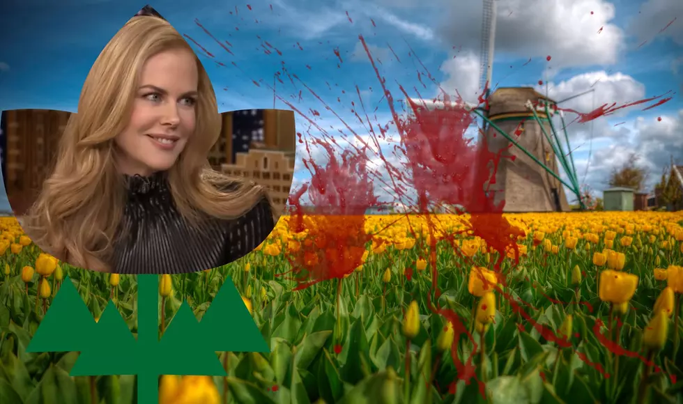 Nicole Kidman To Film In Holland, MI Based Movie In April 2023
