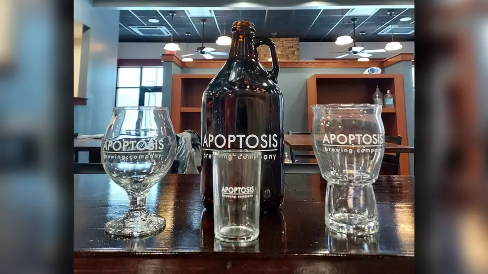 Kalamazoo's Newest Brewery, Apoptosis, Opening on S. Westnedge