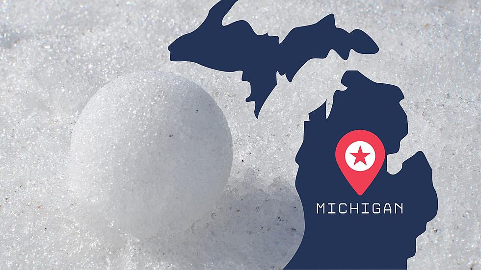 LOOK: Satellite Image Shows How Much Snow Is Covering Michigan