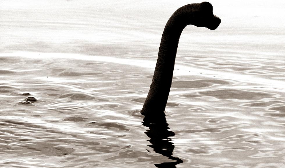The Legend of Bessie, The Great Lakes Loch Ness Monster
