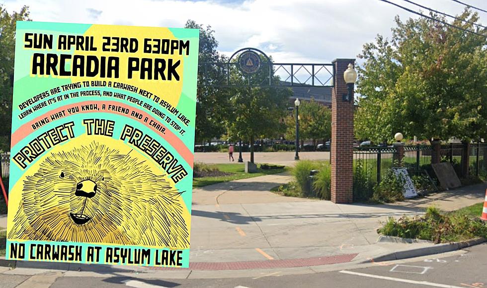 Gathering At Arcadia Park In Kalamazoo To Protect Asylum Lake
