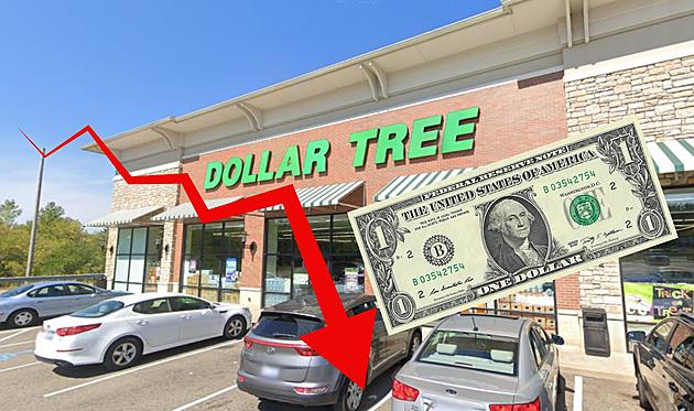 Michigan Dollar Tree Stores Bringing Back $1 Items