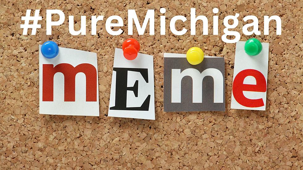 These Are The Best #PureMichigan Social Media Posts This Year