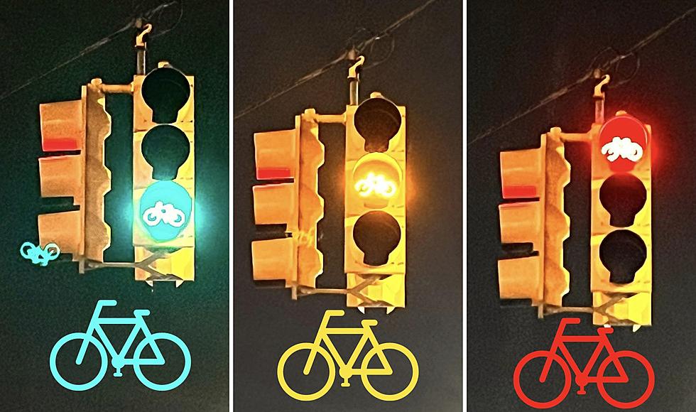 Michigan’s New Bicycle Traffic Signals Have Been Installed In Downtown Kalamazoo