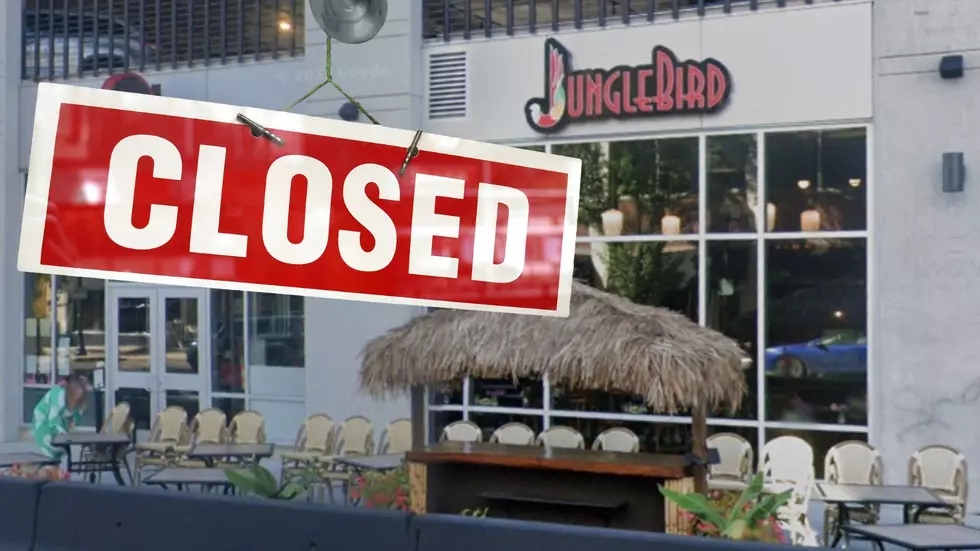 Claim: JungleBird Employees Given Almost No Notice of Its Closing
