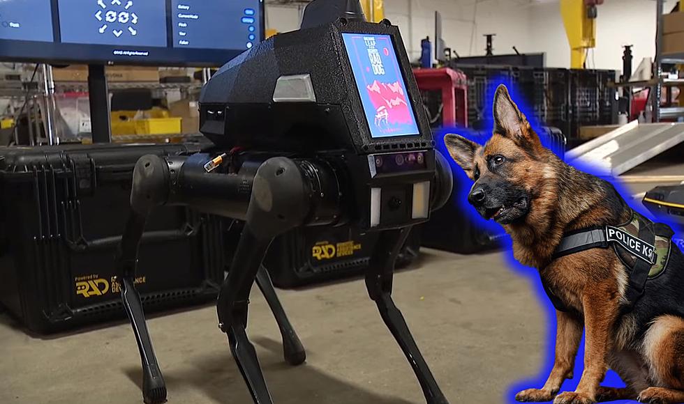 Could Ohio Police Soon Start Using Robot Police Dogs?