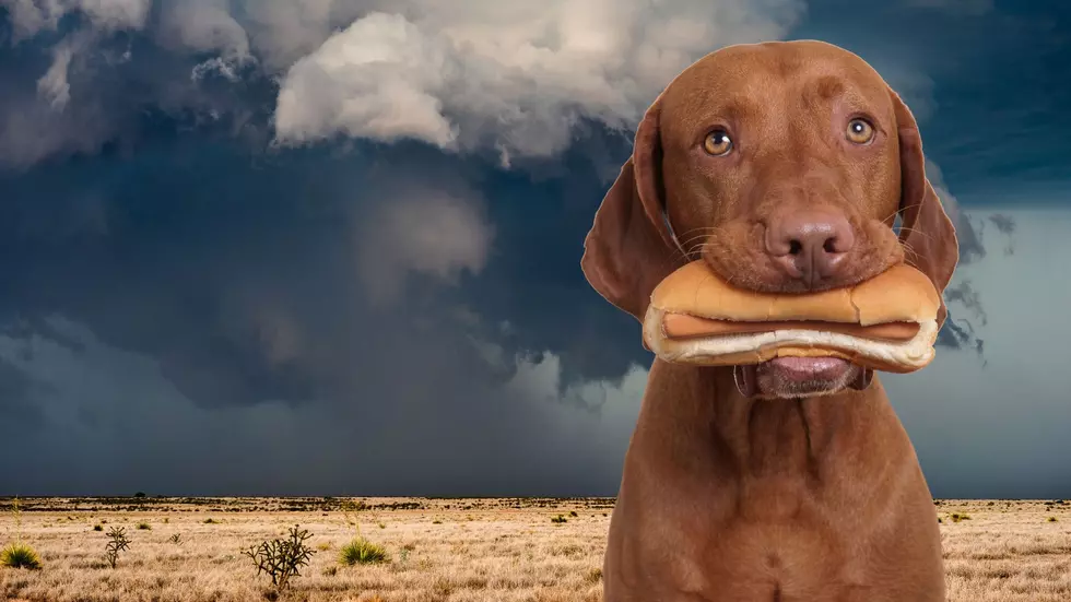 Hot Dogs in Your Pockets, and Six Other Storm Myths You Need to Unlearn