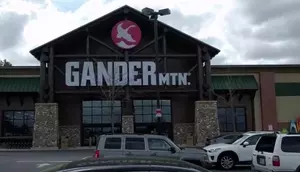Gander Mountain Filed for Chapter 11