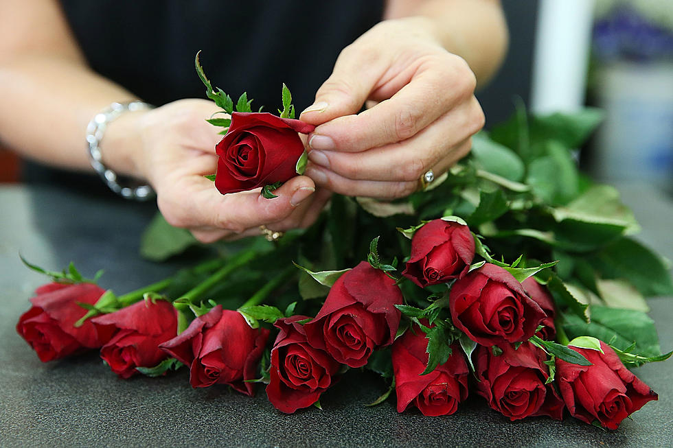 Over 50 Million Roses Are Given for Valentine’s Day Each Year