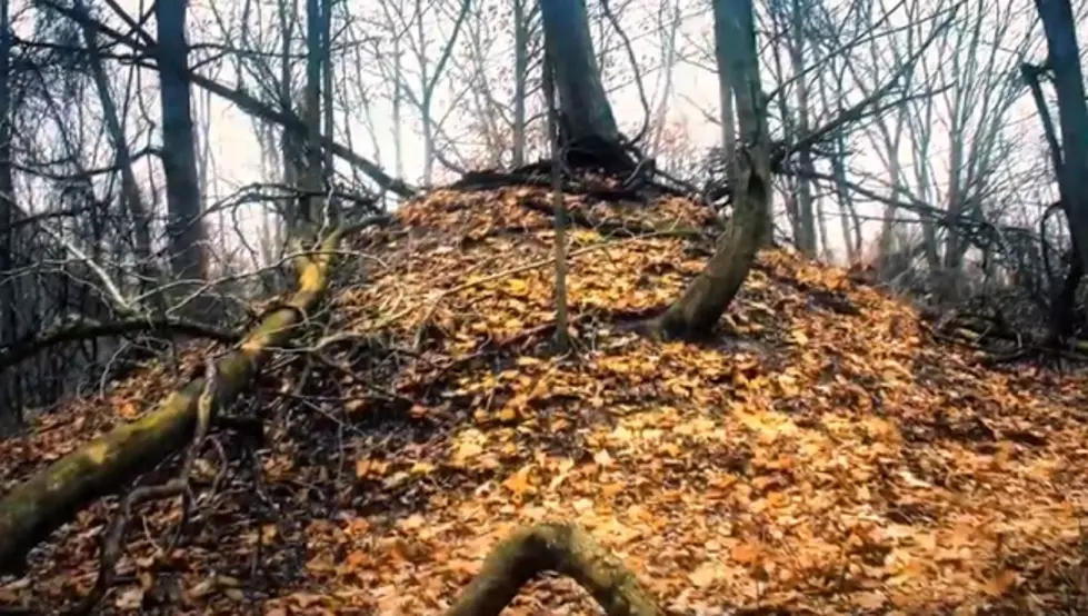 The 2,000-Year-Old Indian Mounds in Grand Rapids