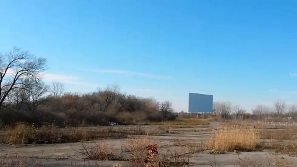 The Abandoned Miracle Twin Drive-In Theater, Burton