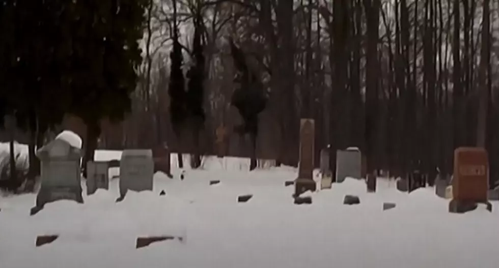 The Child Ghosts of “Munchkin Land” Cemetery: Berrien County, Michigan