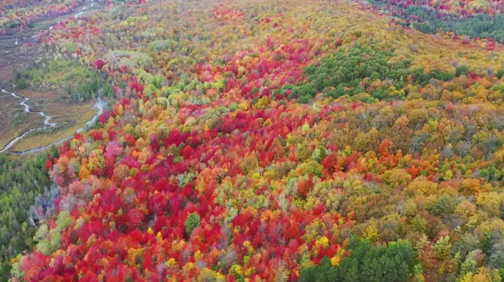 Where Are Michigan’s Best Fall Colors?